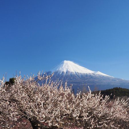 宿坊 覚林坊 身延町 エクステリア 写真
