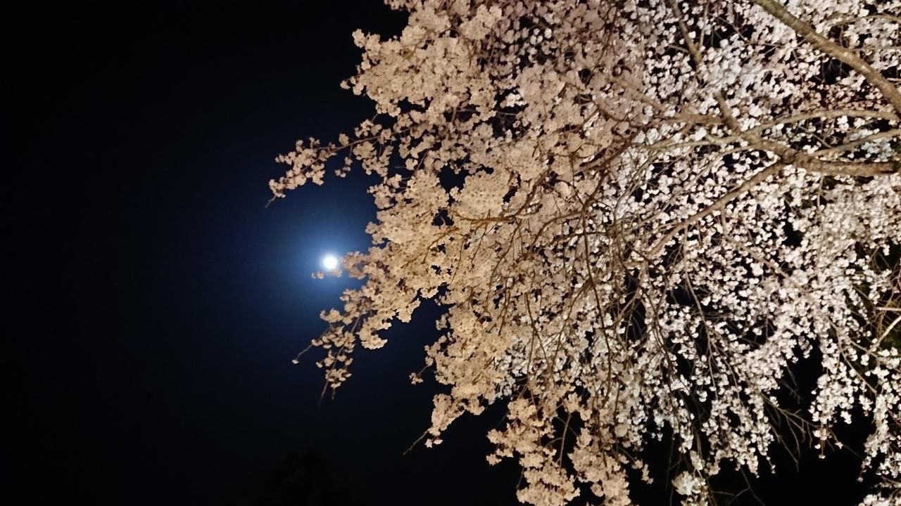 宿坊 覚林坊 身延町 エクステリア 写真